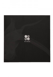 BTS - Wings