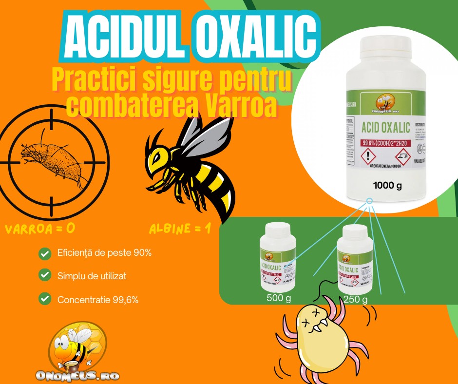 Acidul oxalic: Practici sigure pentru combaterea varroa