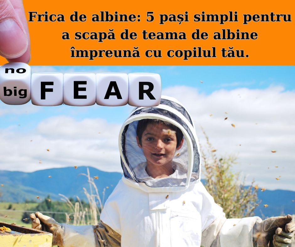 Frica de albine: 5 pași simpli pentru a scapă de teama de albine împreună cu copilul tău.