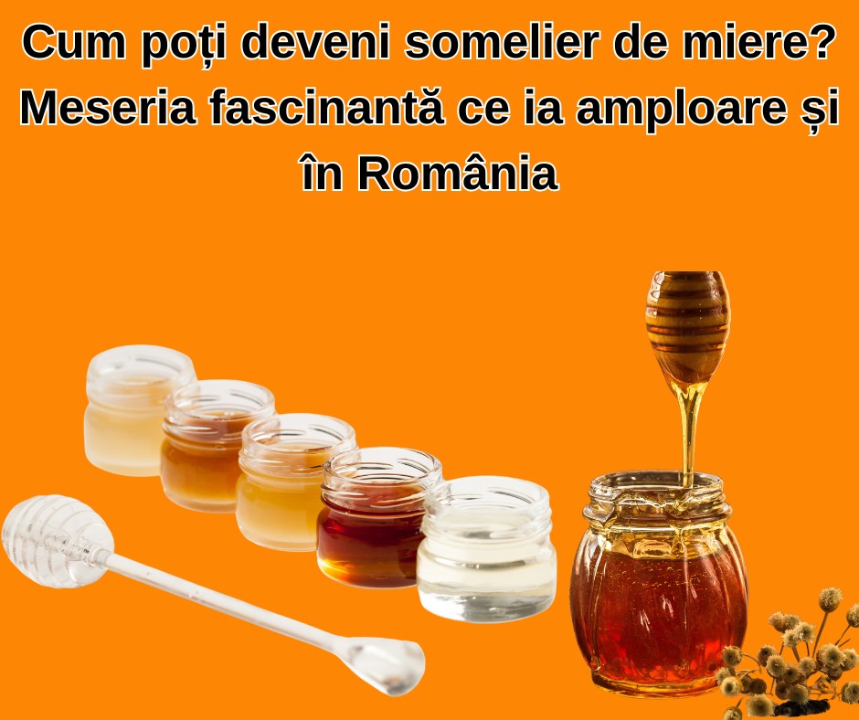 Cum poți deveni somelier de miere? Meseria fascinantă ce ia amploare și în România