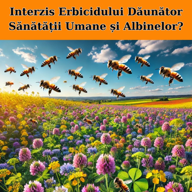 Decizia Comisiei Europene: Sfârșitul Metribuzinului și Un Nou Început pentru Albine și Agricultură
