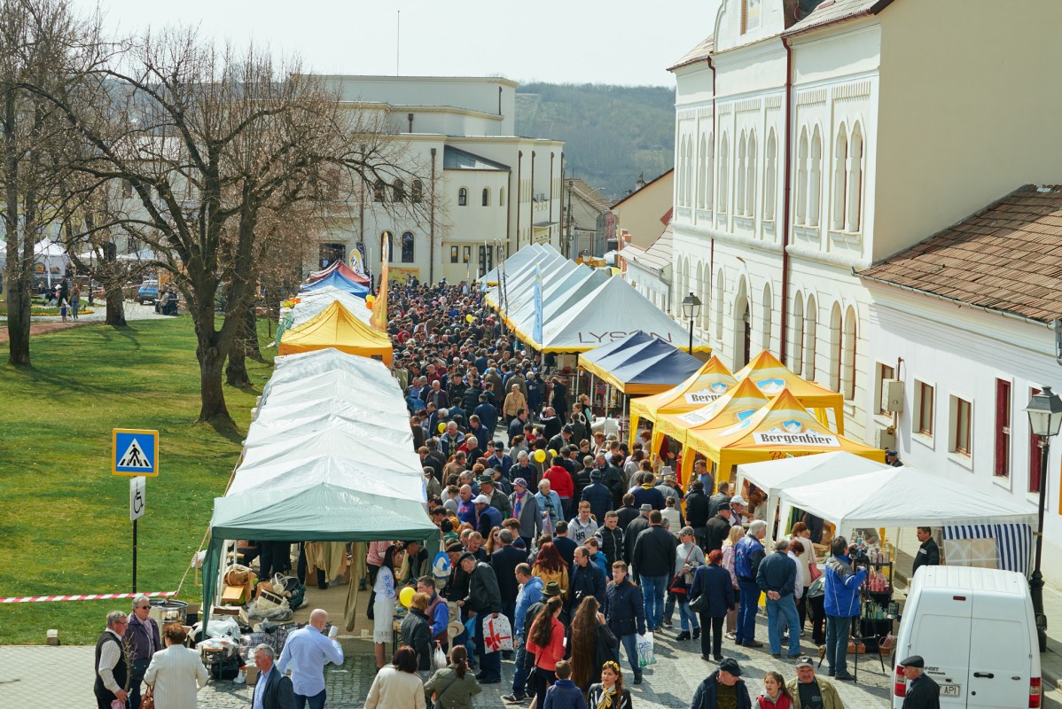 Târgul Apicol Blaj 2025 – Ediția a XV-a: Descoperă Cel Mai Mare Eveniment Apicol din România pe 22-23 Martie