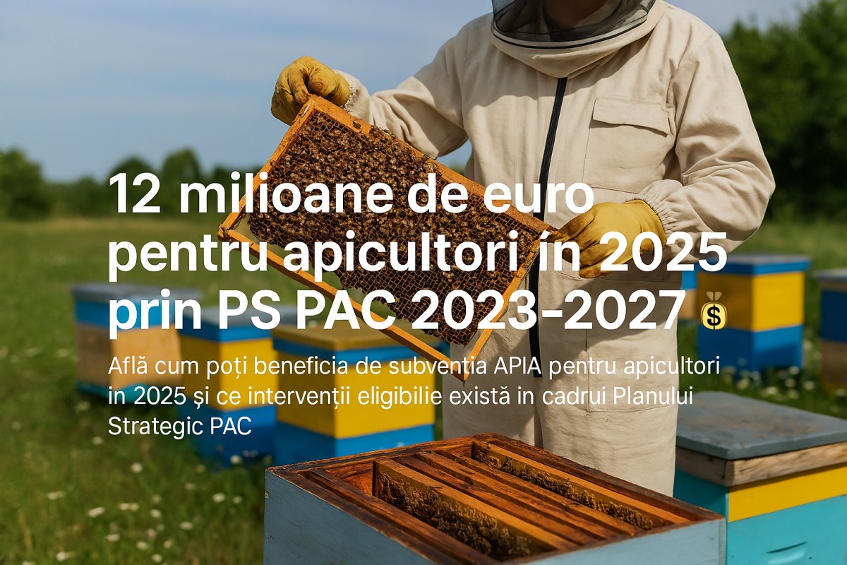 💰 12 milioane de euro pentru apicultori in 2025 prin PS PAC 2023-2027