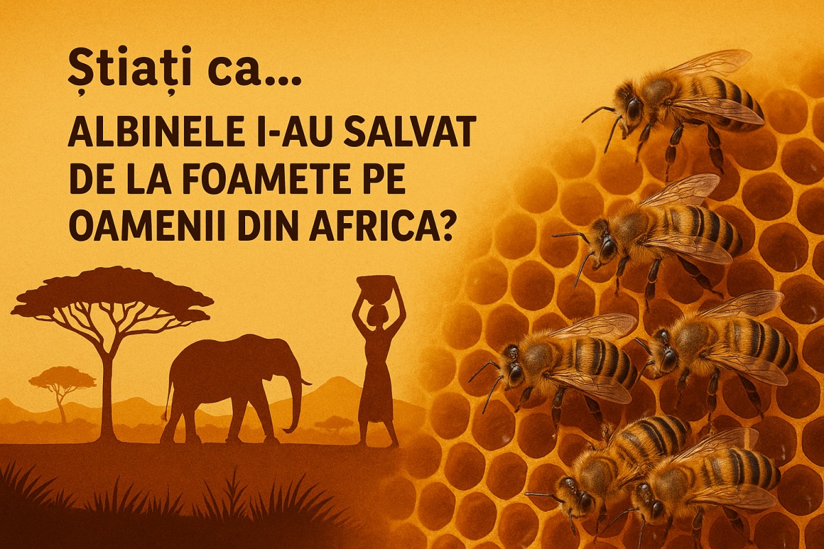 Stiati Ca... Albinele I-au Salvat De La Foamete Pe Oamenii Din Africa?