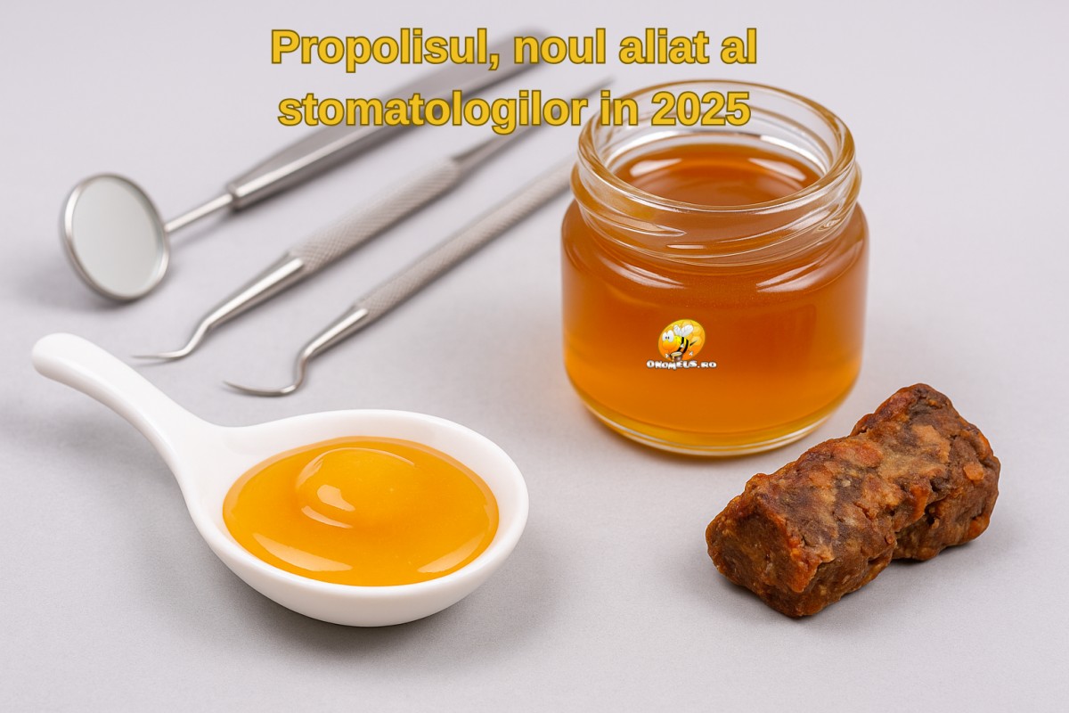 Descoperire uimitoare: Propolisul, noul aliat al stomatologilor in 2025
