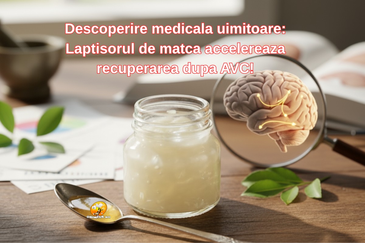 Descoperire medicala uimitoare: Laptisorul de matca accelereaza recuperarea dupa AVC! - onomeus.ro