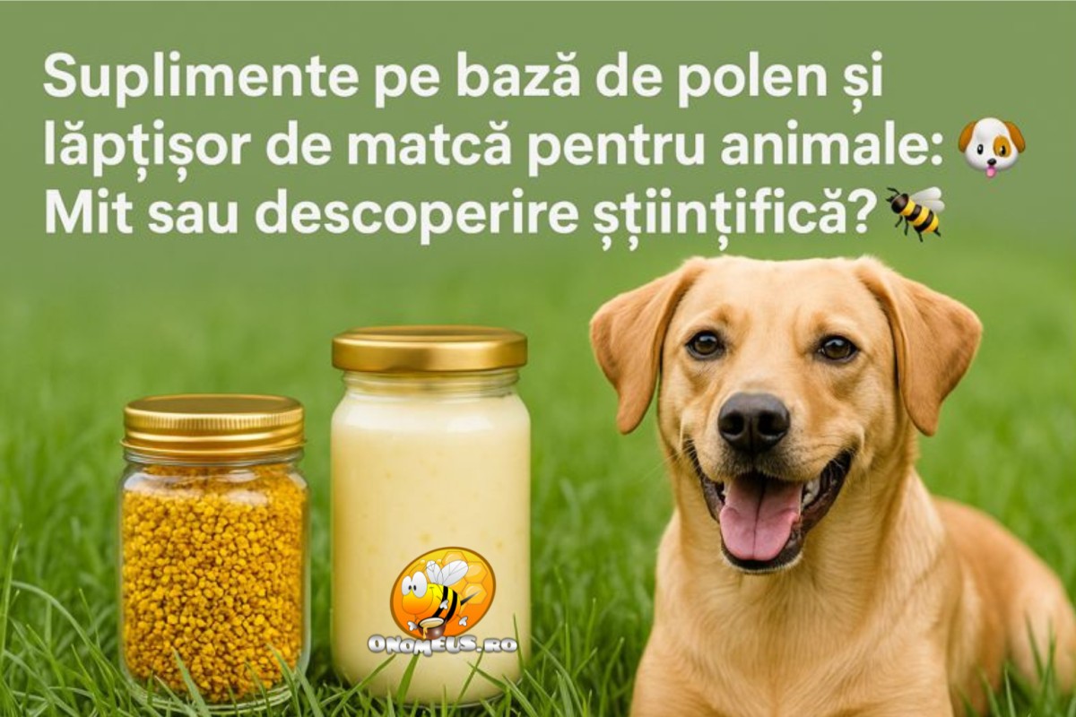 Suplimente pe baza de polen si laptisor de matca pentru animale: Mit sau descoperire stiintifica? 