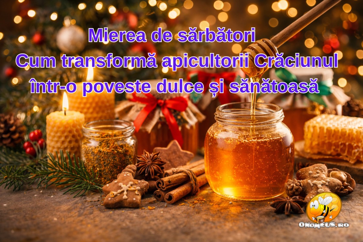 Mierea de sărbători – Cum transformă apicultorii Crăciunul într-o poveste dulce și sănătoasă