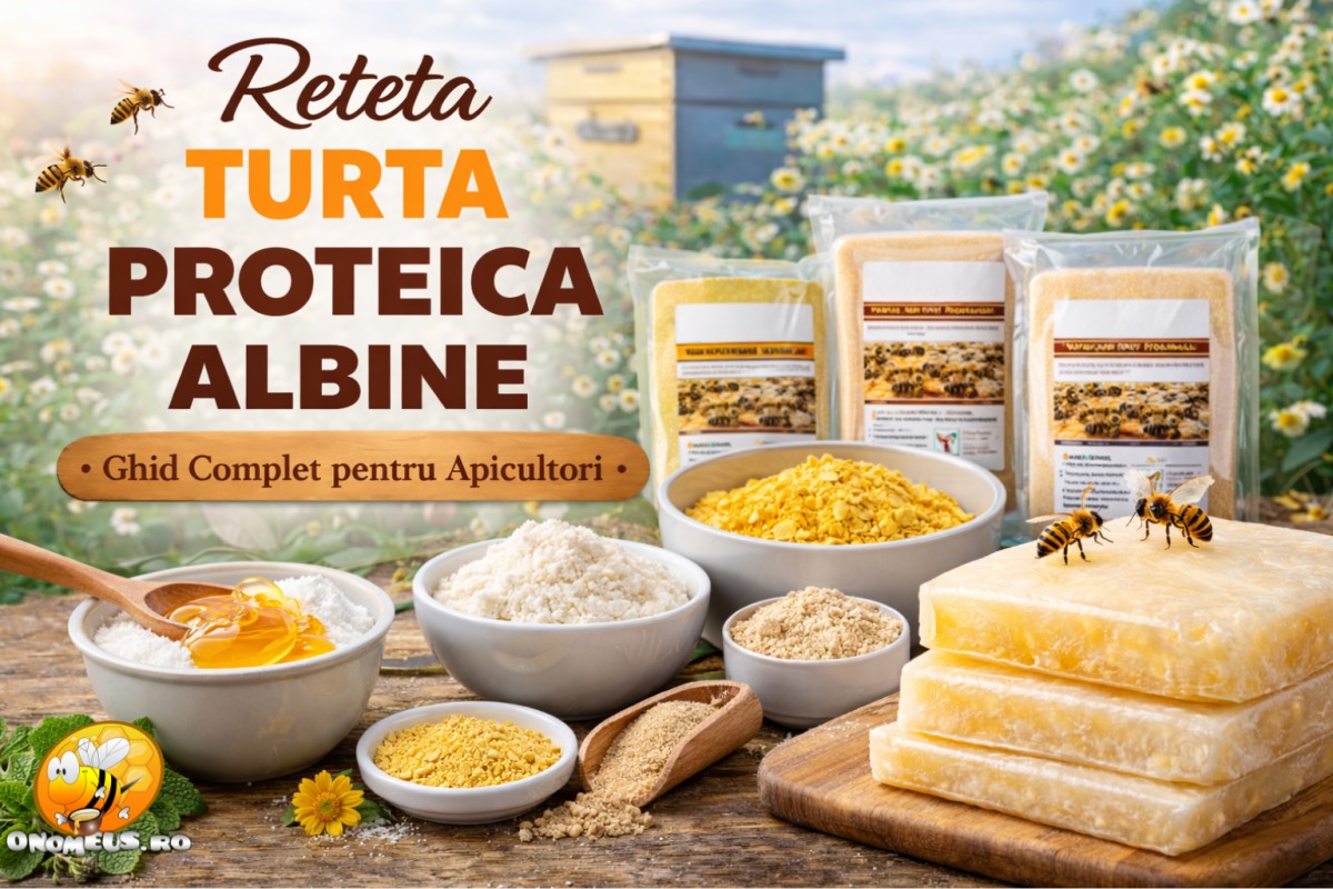 Reteta Turta Proteica Albine