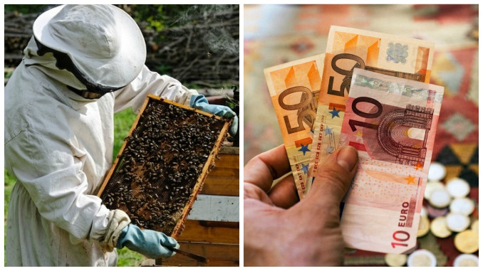 Valoare ajutor apicultori PNA si termenul limita pentru depunere 2020 - 2022