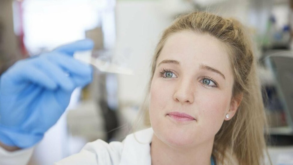 DESCOPERIRE veninul de la albine distruge celulele canceroase agresive ale cancerului de san