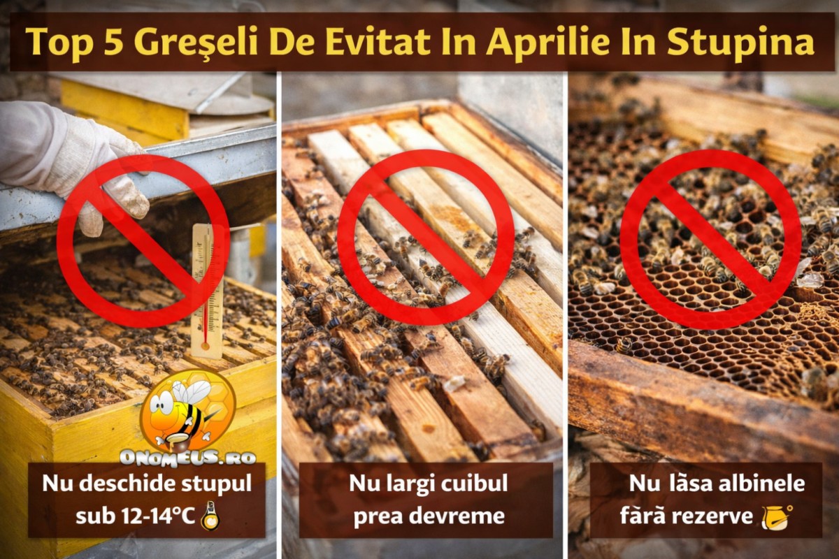 Top 5 Greseli Pe Care Sa Le Eviti In Aprilie In Stupina-onomeus.ro