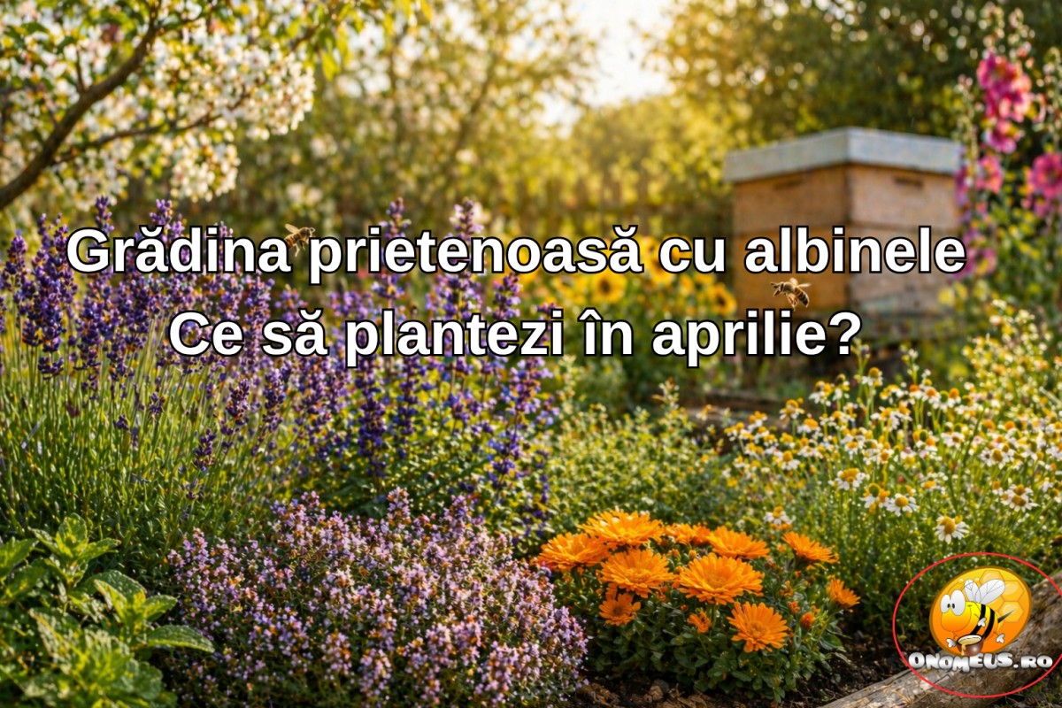 Grădina prietenoasă cu albinele: Ce să plantezi în aprilie?