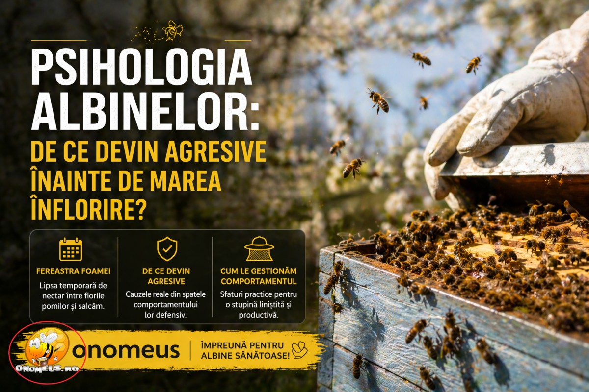 Psihologia Albinelor: De Ce Devin Agresive Inainte De Marea Inflorire?
