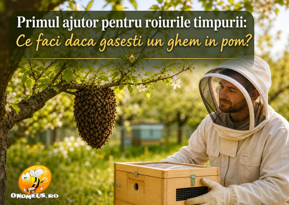 Primul Ajutor Pentru Roiurile Timpurii: Ce Faci Daca Gasesti Un Ghem In Pom?