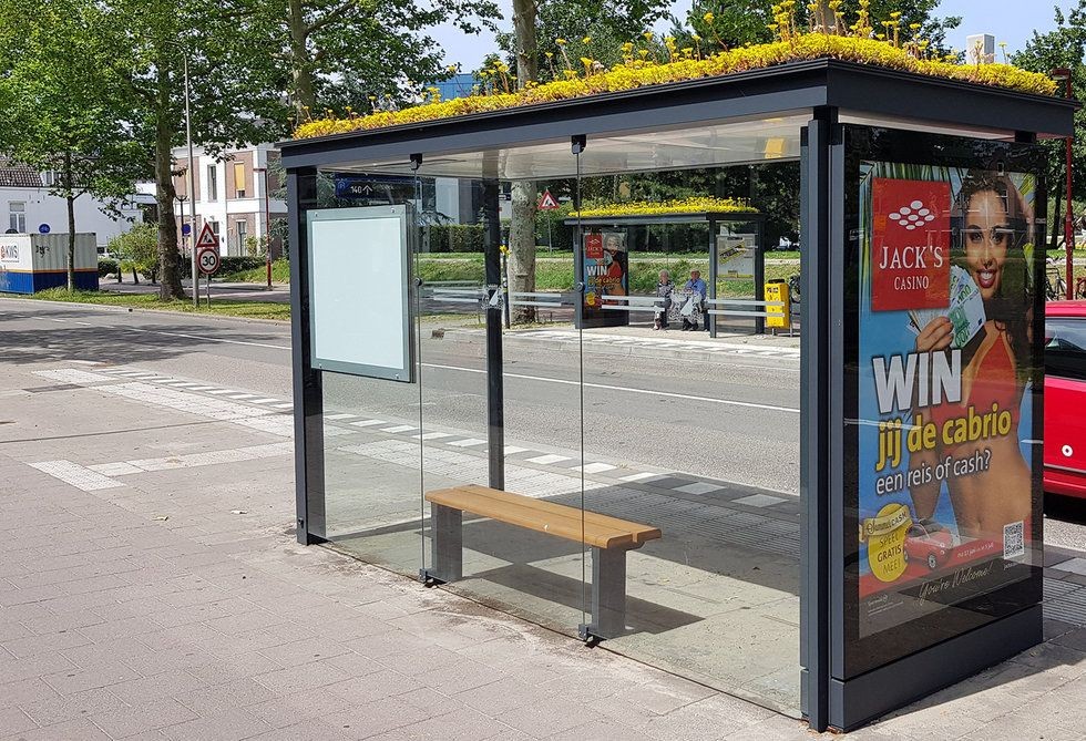 De la statii de autobuz la statie de albine