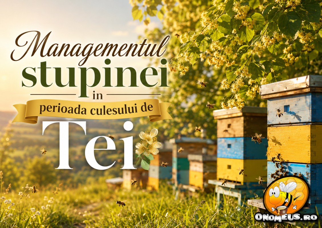 Managementul stupinei în perioada culesului de Tei