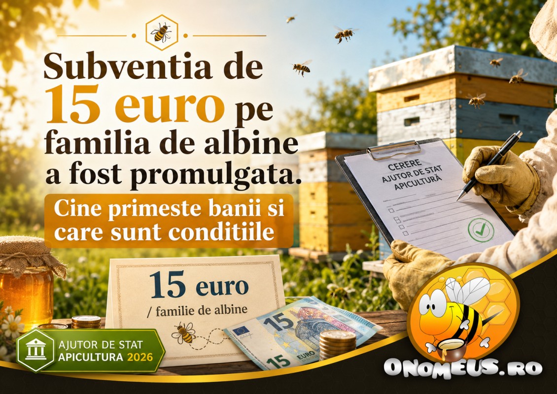 Subventia De 15 Euro Pe Familia De Albine A Fost Promulgata. Cine Primeste Banii Si Care Sunt Conditiile