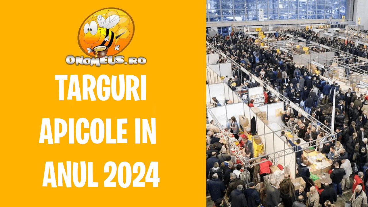 Calendarul targurilor apicole pentru anul 2024 - BLOG