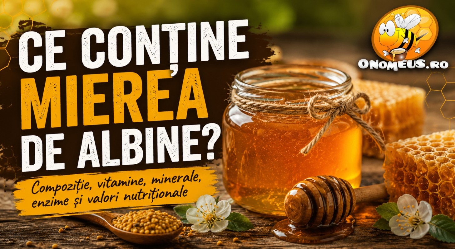Ce Contine Mierea De Albine? Compozitie, Valori Nutritionale, Vitamine Si Minerale