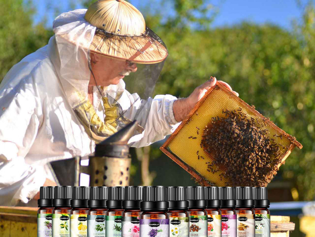 Folosirea Uleiurilor Esențiale în Apicultură: O Abordare Naturală și Eficientă