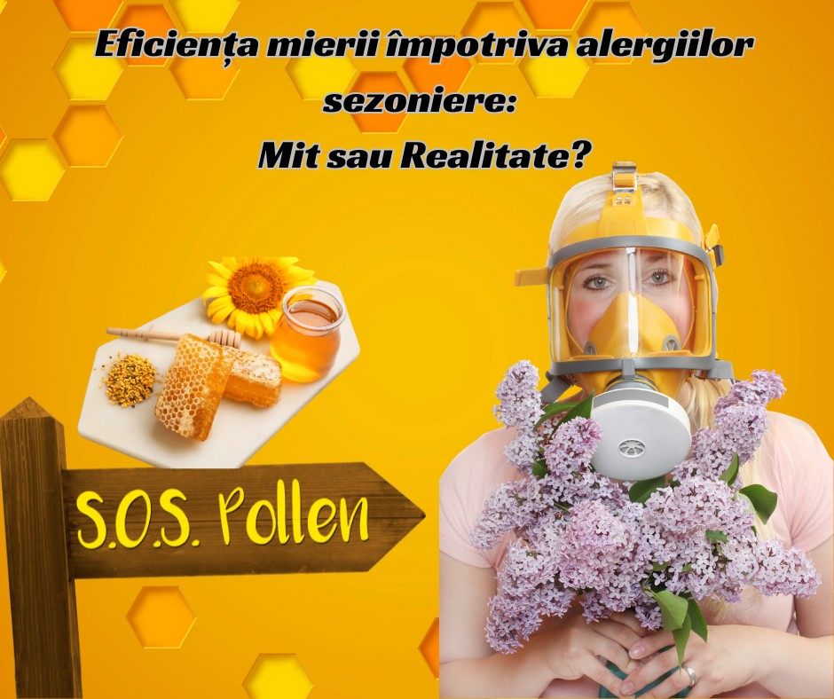 Eficiența Mierii împotriva Alergiilor Sezoniere: Mit sau Real?