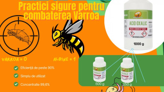 Acidul oxalic: Practici sigure pentru combaterea varroa
