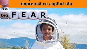 Frica de albine: 5 pași simpli pentru a scapă de teama de albine împreună cu copilul tău.