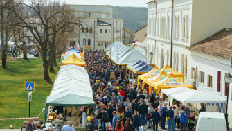 Târgul Apicol Blaj 2025 – Ediția a XV-a: Descoperă Cel Mai Mare Eveniment Apicol din România pe 22-23 Martie