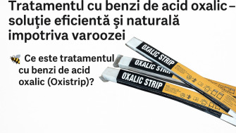 Tratamentul cu benzi de acid oxalic