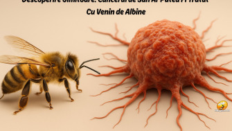 Descoperire uimitoare: Cancerul de san ar putea fi tratat cu venin de albine