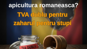Cine vrea să dispară apicultura românească? TVA dublu pe zahărul pentru stupi