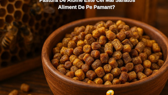 Stiati Ca... Pastura De Albine Este Cel Mai Sanatos Aliment De Pe Pamant?