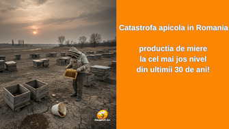 Catastrofa apicola in Romania - productia de miere la cel mai jos nivel din ultimii 30 de ani!