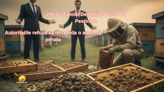 200 de familii de albine ucise cu pesticide, dar procurorii spun : "Nu putem face nimic, alninele nu sunt animale!"