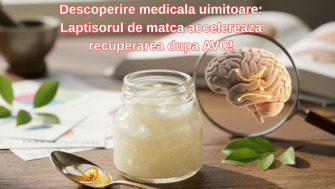 Descoperire medicala uimitoare: Laptisorul de matca accelereaza recuperarea dupa AVC!