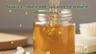 Stiati ca... mierea de salcam este o miere monopolena?