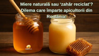 Miere naturală sau ‘zahăr reciclat’? Dilema care împarte apicultorii din România!