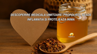 Descoperire medicala uimitoare: Propolisul scade inflamatia si protejeaza inima– cercetare recenta