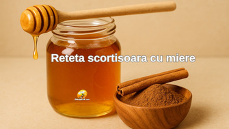 Reteta scortisoara cu miere