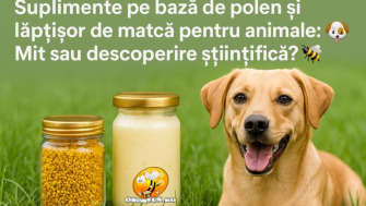 Suplimente pe baza de polen si laptisor de matca pentru animale: Mit sau descoperire stiintifica?