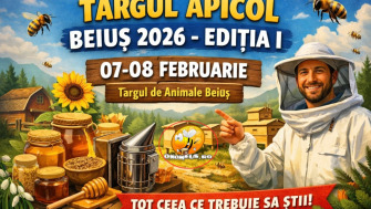 Târgul Apicol Beius 2026 - Ediția I 07-08 Februarie)- Tot ceea ce trebuie sa stii despre targul de la Beius