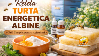 Reteta turta energetica albine