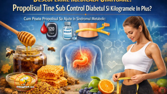 Descoperire medicala uimitoare: Propolisul ține sub control diabetul și kilogramele în plus (sindrom metabolic)