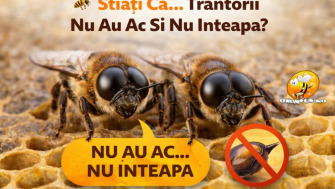 Stiati Ca... Trantorii Nu Au Ac Si Nu Inteapa?