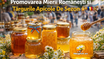 Promovarea Mierii Romanesti Si Targurile Apicole De Sezon