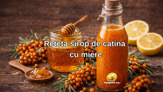 Reteta Sirop De Catina Cu Miere