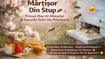 Martisor Din Stup – Primul Zbor Al Albinelor Si Darurile Dulci Ale Primaverii