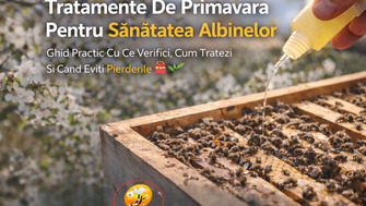 Tratamente De Primavara Pentru Sanatatea Albinelor