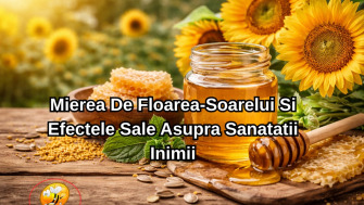 Mierea De Floarea-Soarelui Si Efectele Sale Asupra Sanatatii Inimii